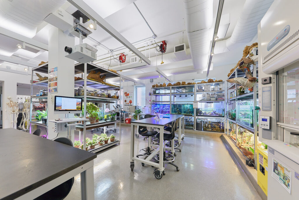 Tissue culture laboratory facility