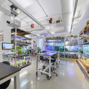 Tissue culture laboratory facility