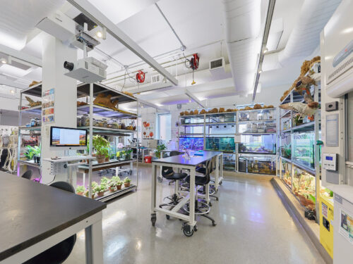 Tissue culture laboratory facility