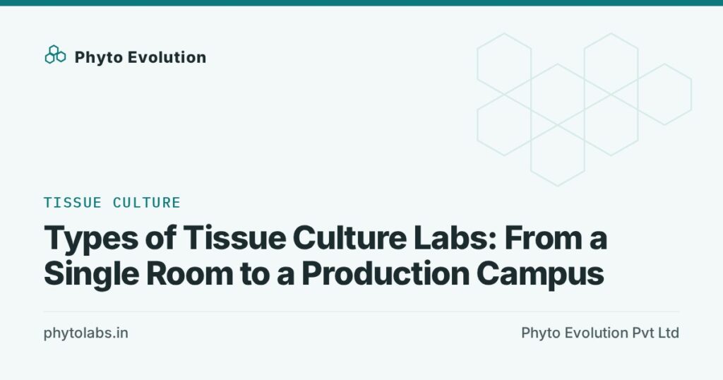 Types of Tissue Culture Labs: From a Single Room to a Production Campus
