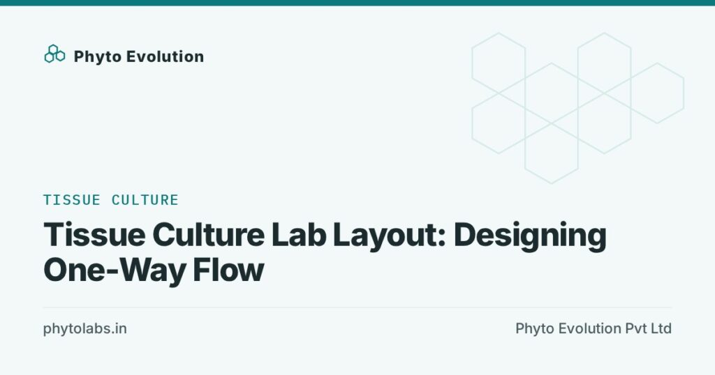 Tissue Culture Lab Layout: Designing One-Way Flow