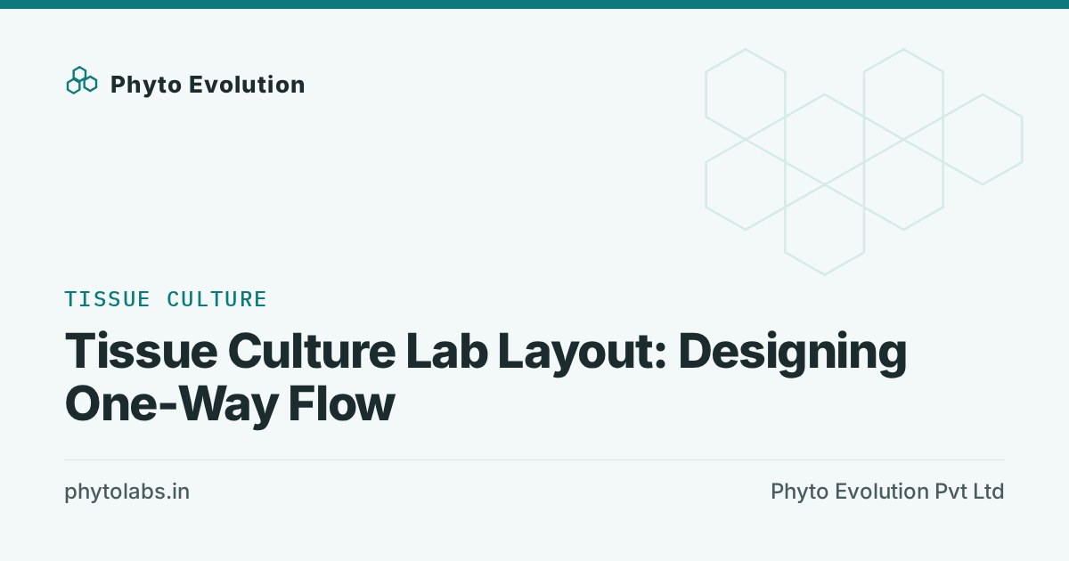 Tissue Culture Lab Layout: Designing One-Way Flow