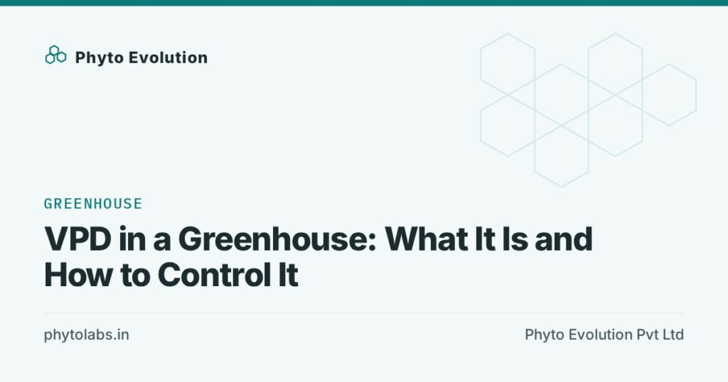 VPD in a Greenhouse: What It Is and How to Control It