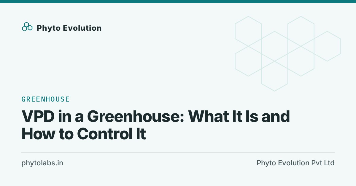 VPD in a Greenhouse: What It Is and How to Control It