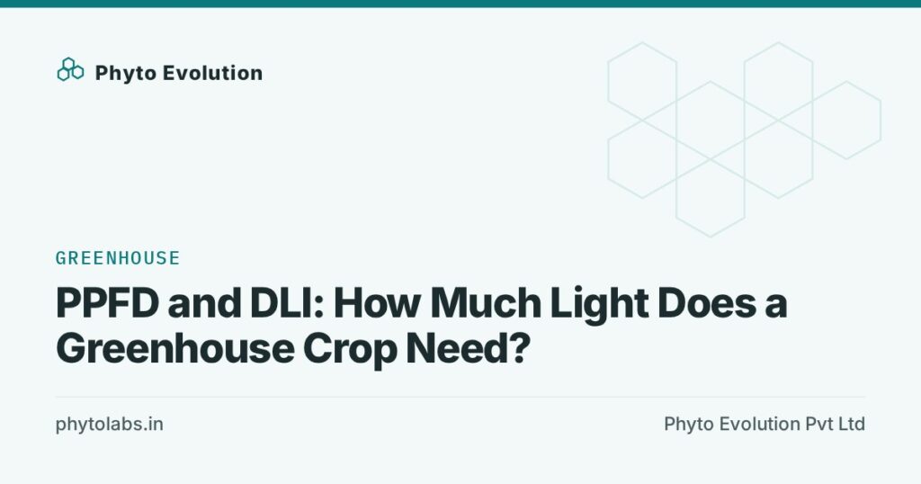 PPFD and DLI: How Much Light Does a Greenhouse Crop Need?