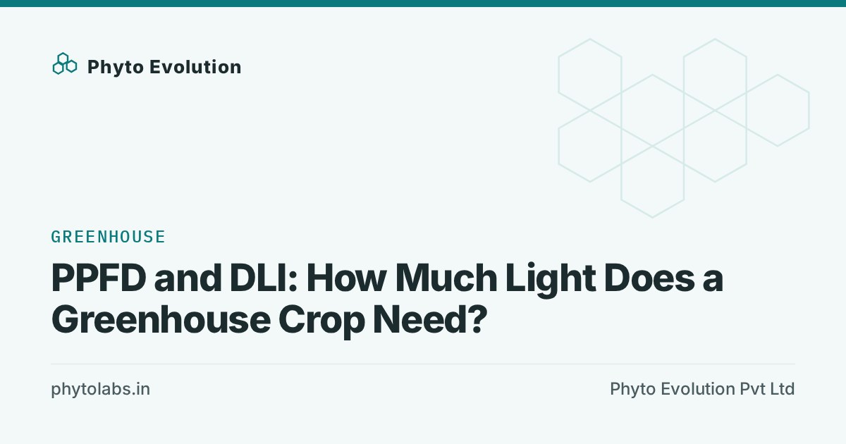 PPFD and DLI: How Much Light Does a Greenhouse Crop Need?