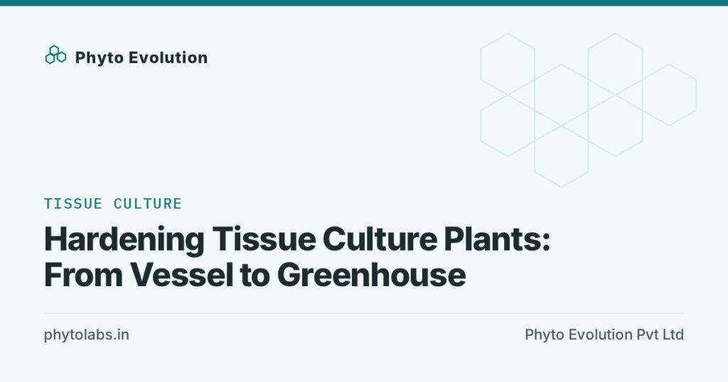Hardening Tissue Culture Plants: From Vessel to Greenhouse