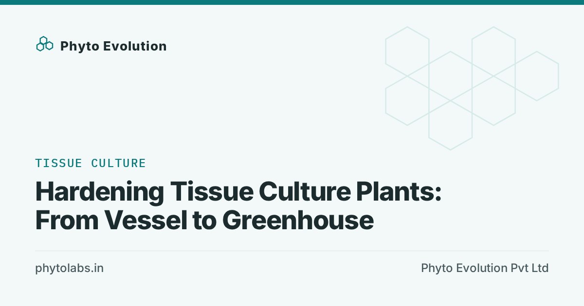 Hardening Tissue Culture Plants: From Vessel to Greenhouse